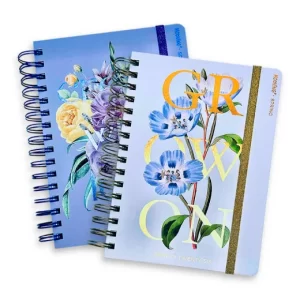 Agenda Spring diaria Mooving 2026