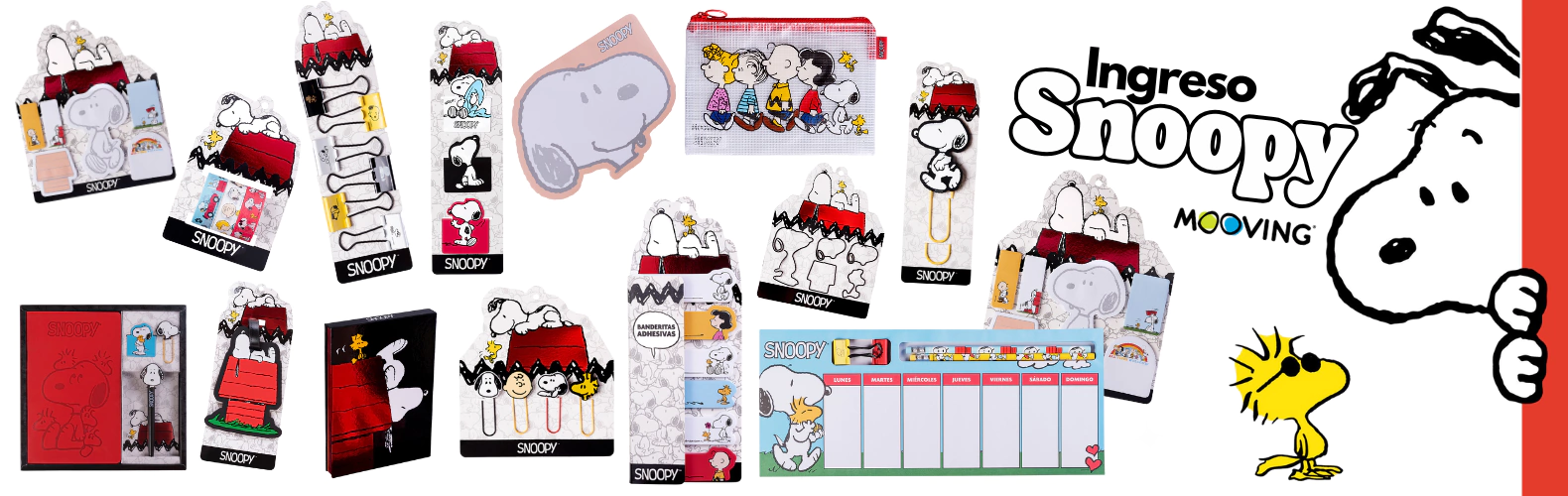 2-slide-1758379016278-3636990462-922e0a63e37af560accf89e3d1a3a4551758379019-1920-1920