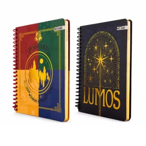 Cuaderno premium Harry Potter Mooving 96h