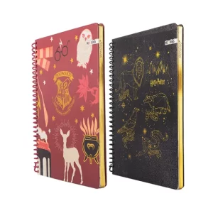 Cuadernola premium Harry Potter mooving