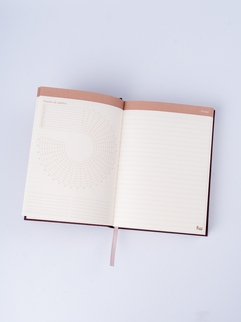 Agenda 2027 perpetua Dreamer kit x3 - Imagen 11