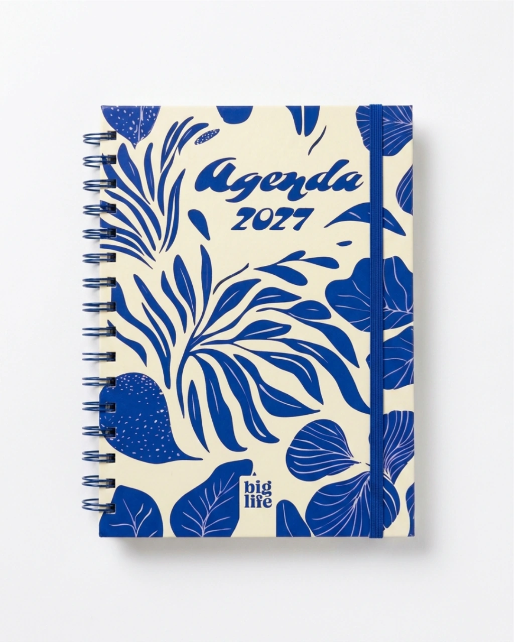 Agenda 2027 hojas semanal o diaria Big Life